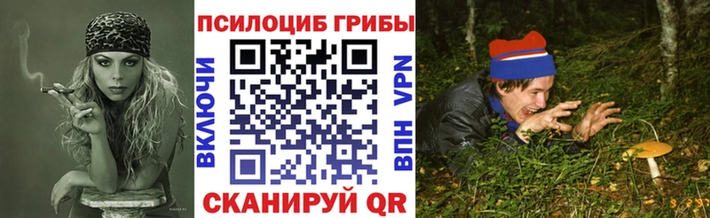 Псилоцибиновые грибы Cubensis Исилькуль