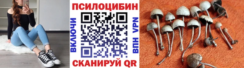 Галлюциногенные грибы MAGIC MUSHROOMS купить наркоту Исилькуль